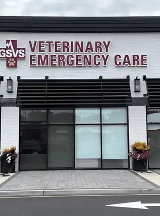 GSVS Veterinary Emergency Care Toms River