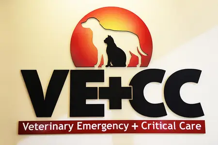 Client Preparation Checklist