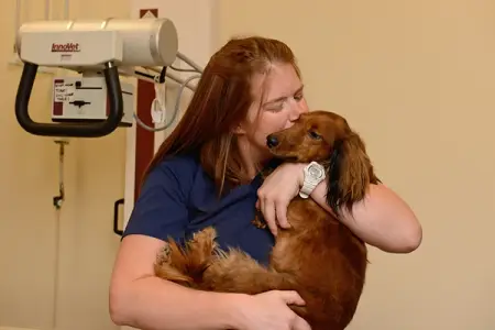 Devastating Parvovirus is Preventable!