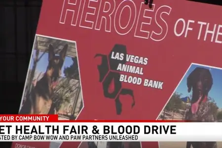 Pet Health Fair held in Summerlin