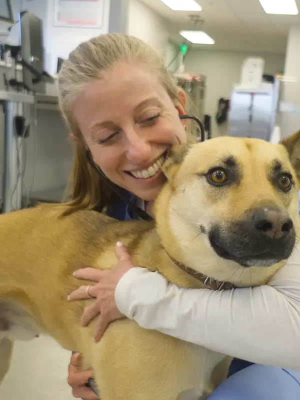Veterinary professional in blue scrubs smiles and hugs a tan dog in a clinical setting.