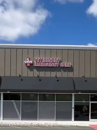 GSVS Veterinary Emergency Care Morristown