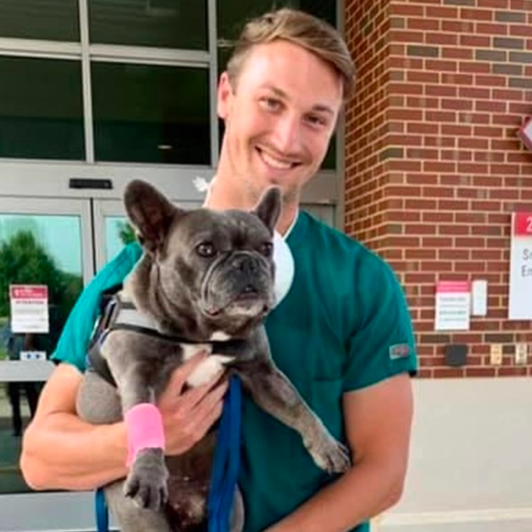 Veterinary professional in green scrubs holds a gray French bulldog with a pink bandage outside a brick building.