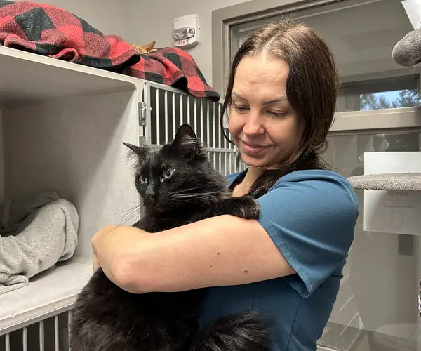 A woman in a teal scrub top holds a black cat in a veterinary office.