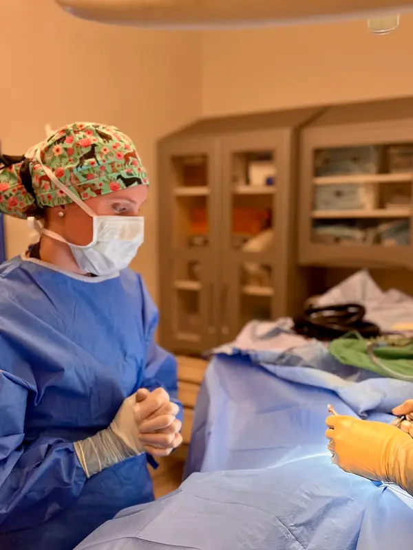 Two veterinary surgeons in an operating room performing surgery.
