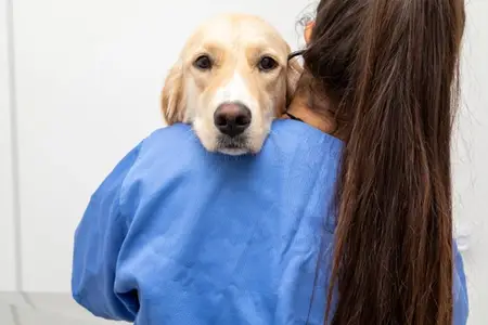 How to Know If It’s an Emergency: 5 Clues from Your Pet