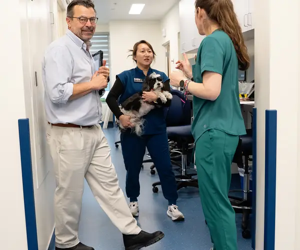 Veterinary professionals caring for animals in a clinical setting with medical equipment around them.