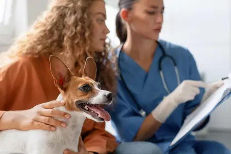 Dog Vomiting Blood: An Emergency Veterinarian's Guide