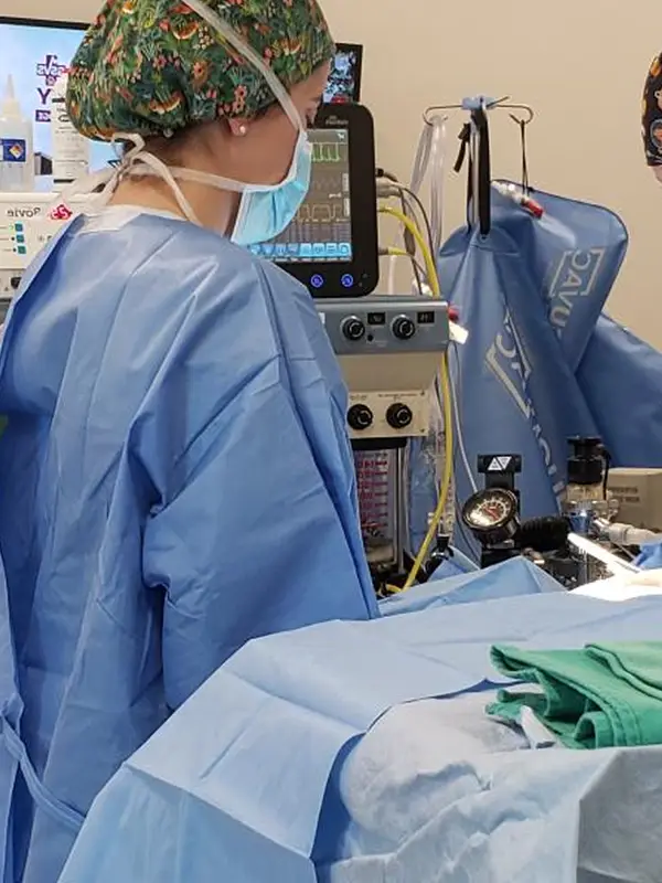 Three vets in surgical scrubs looks at a monitor in a surgery setting, as seen from the side.