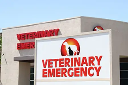 Open House Celebration!