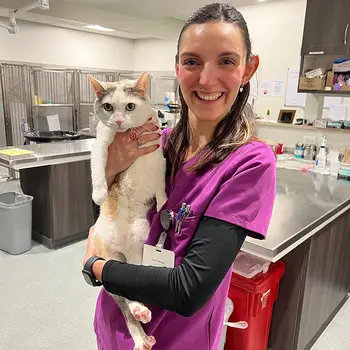 Woman vet in a pink scrub top smiles while hugging a white cat in a clinical setting.