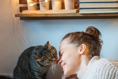 Emergency Signs of Bird Flu in Cats: A Critical Checklist