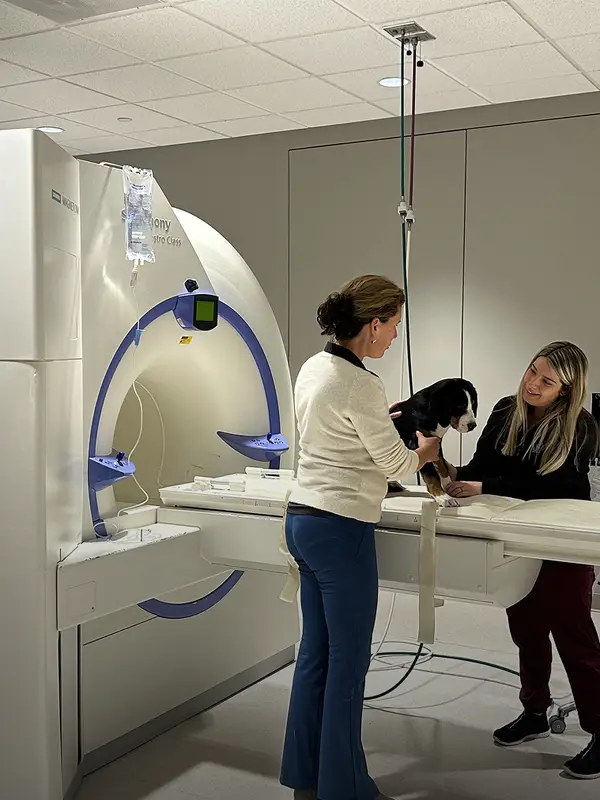 Two veterinary professionals assist a small dog at an MRI machine in a clinical setting.