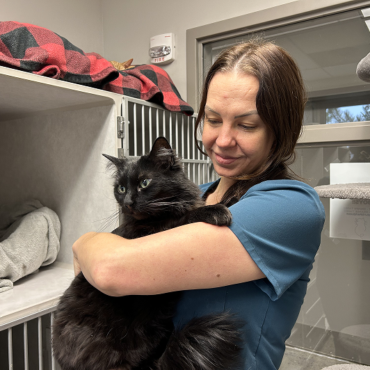 A woman in a teal scrub top holds a black cat in a veterinary office.