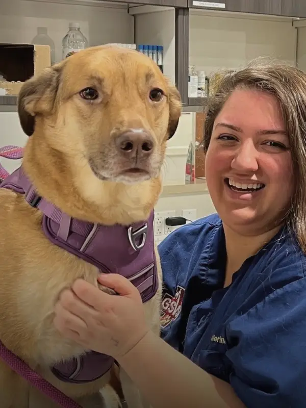 A vet smiles with her arms around a brown dog in a purple harness in an exam room.