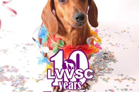 Celebrating 10 Years!