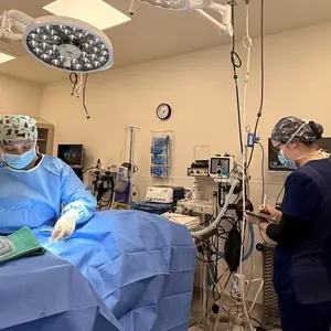 Garden State Veterinary Specialists Morristown