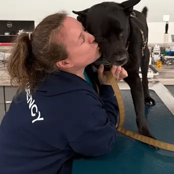A vet with a blue jacket reading "Emergency" across the back kisses a large black dog in a clinical setting.