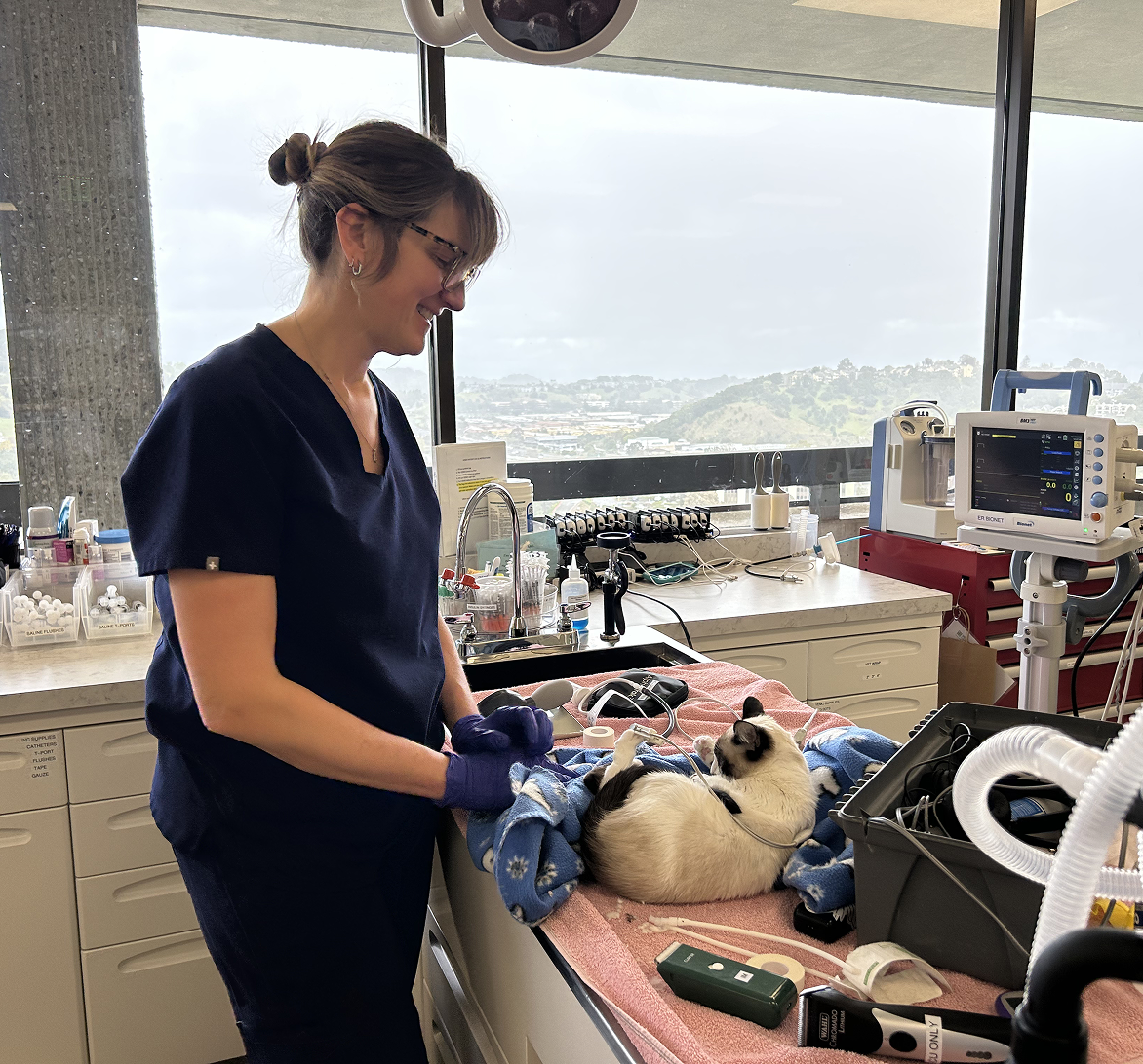 Veterinary professional caring for a cat in a clinical setting with medical equipment around them.