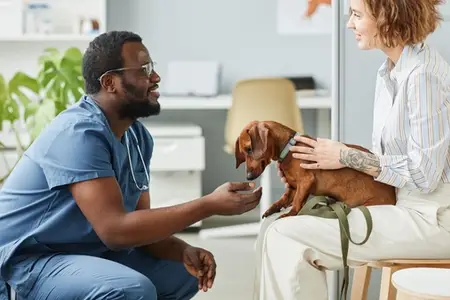 Signs of Rabies in Cats: Is It an Emergency?