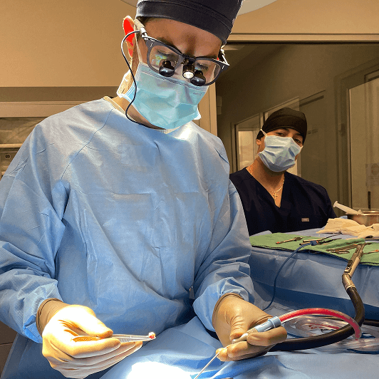 A veterinary surgeon performs a procedure with another vet in the background.