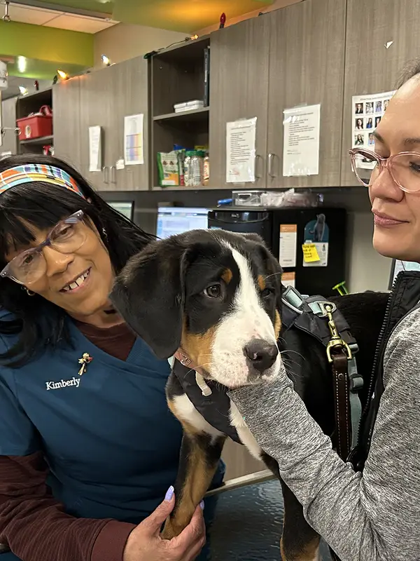 Two women with a black and brown spotted puppy in a veterinary examination room.