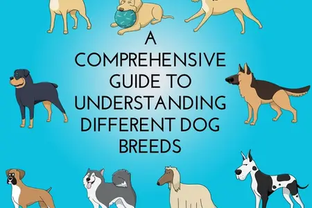 A Comprehensive Guide to Understanding Different Dog Breeds