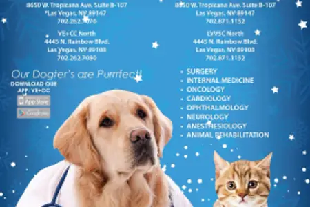 Las Vegas Pet Scene Magazine – November/December 2016