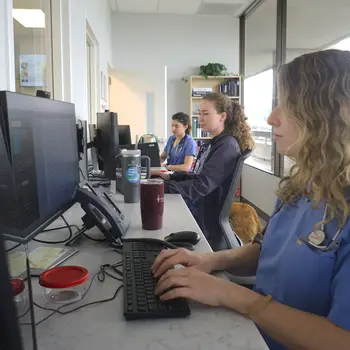 Veterinary professionals working at a row of computers.