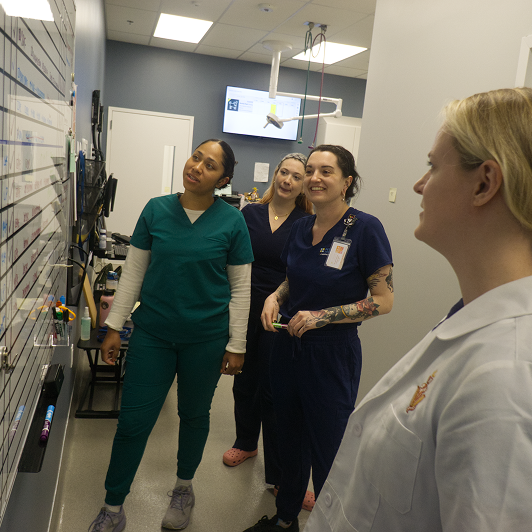 Veterinary professionals gathered around a white board in a clinical setting.