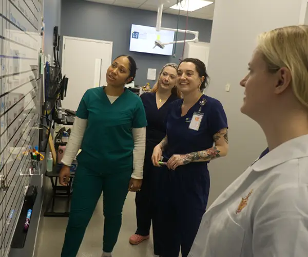 Veterinary professionals gathered around a white board in a clinical setting.