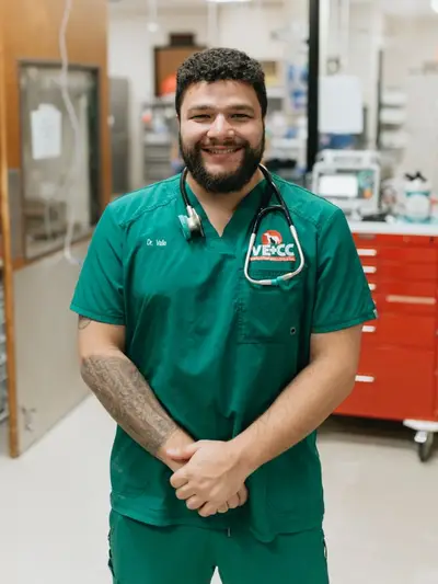Veterinary Emergency + Critical Care | 24/7 Emergency Vets in Las Vegas