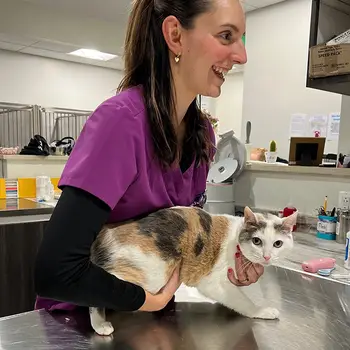 Woman vet in a pink scrub top smiles while holding a white cat in a clinical setting.
