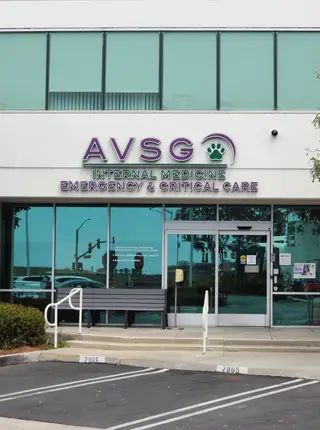 AVSG Internal Medicine Emergency & Critical Care