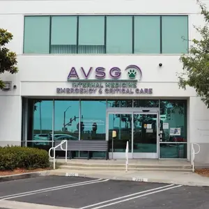 AVSG Internal Medicine Emergency & Critical Care