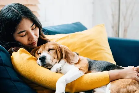 Allergic Hives in Dogs: Are They a True Emergency?