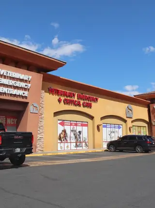 Veterinary Emergency + Critical Care