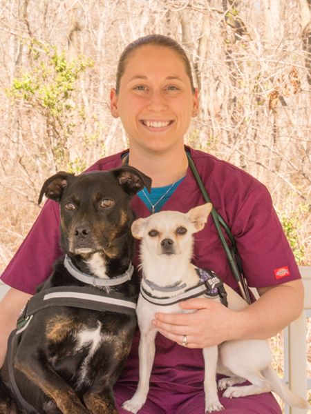 Allison Rohde Newgent