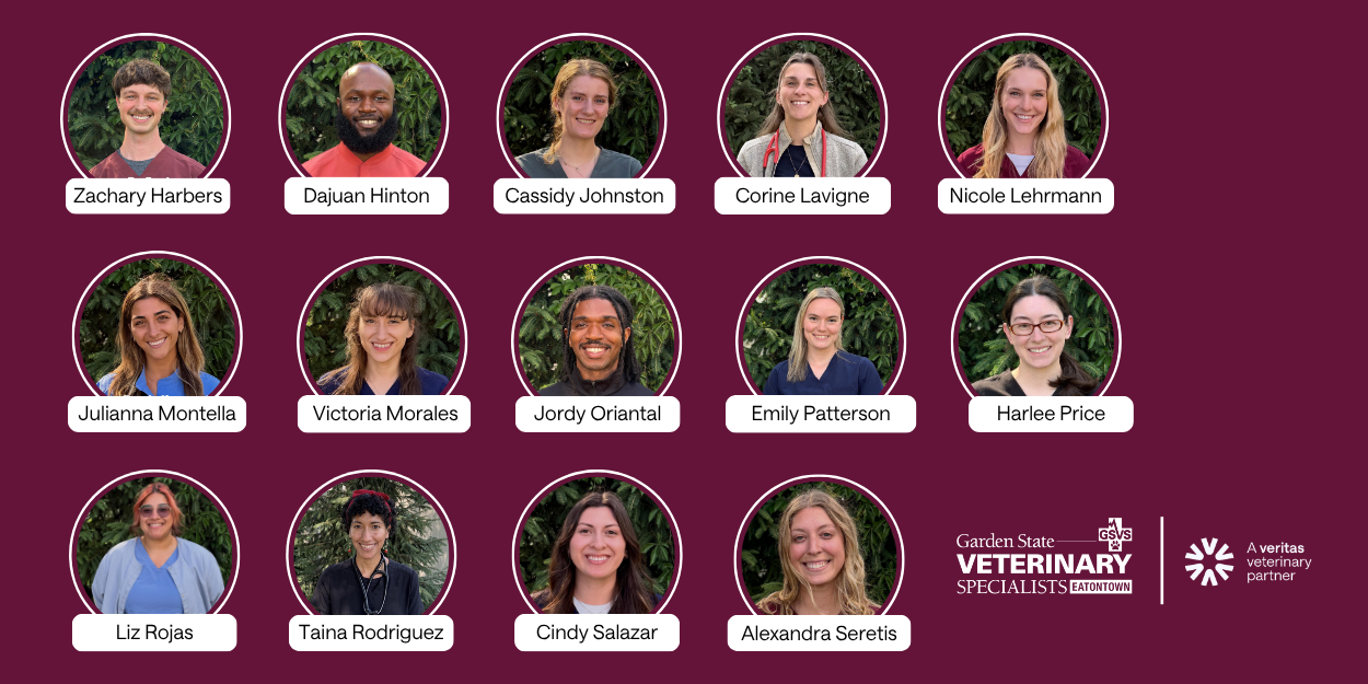 Welcoming Our 2026 Internship Class