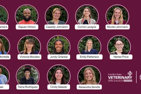 Welcoming Our 2026 Internship Class