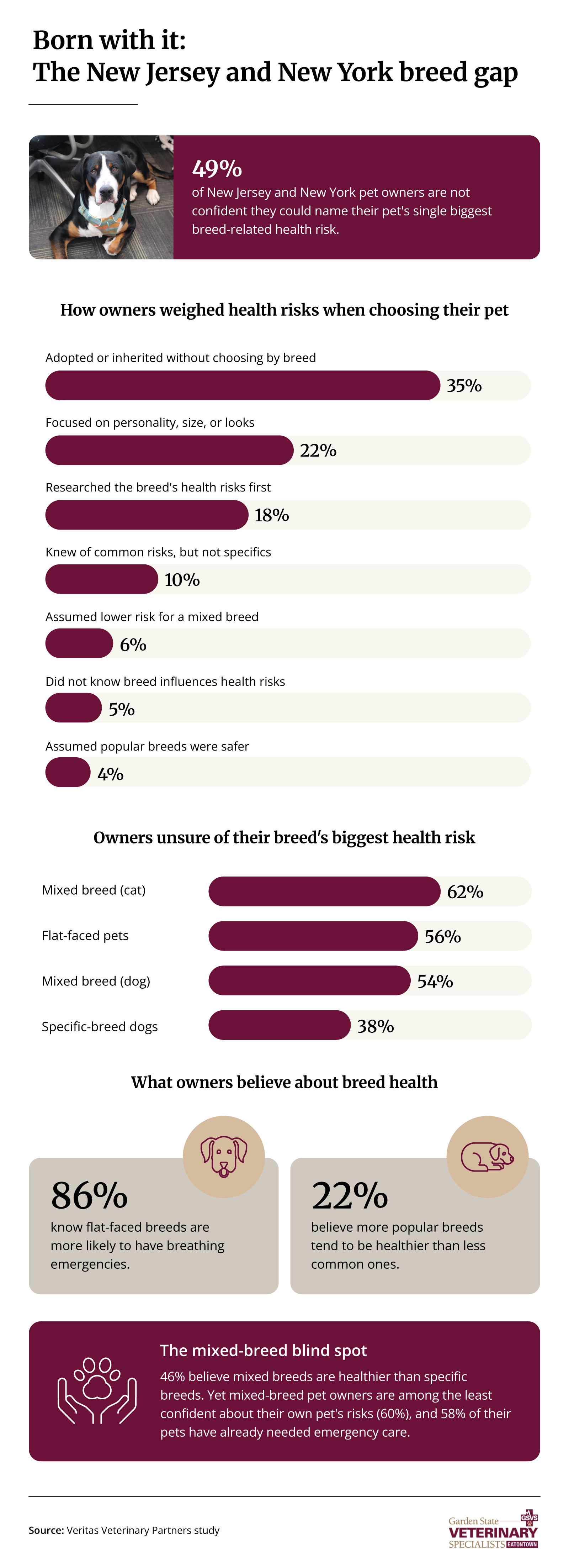Infographic showing how confident New Jersey and Staten Island pet owners are in naming their pet's biggest breed-related health risk and what they believe about breed health.