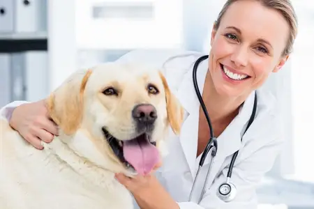 Two Premier Veterinary Emergency HospitalsAcross the Las Vegas Valley