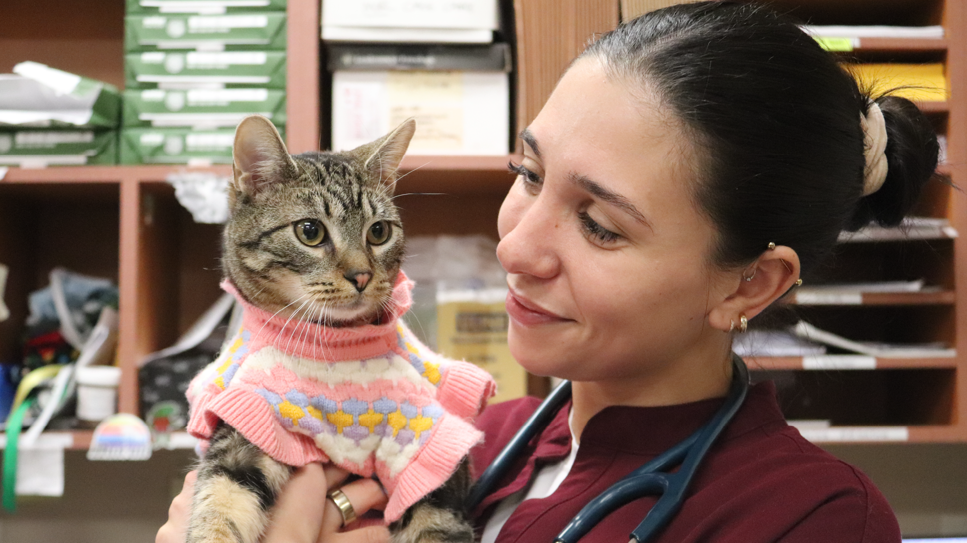 2026 breed risk report: The pets most likely to need emergency care in New Jersey and Staten Island