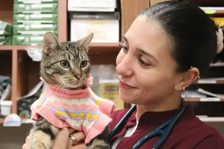 2026 breed risk report: The pets most likely to need emergency care in New Jersey and Staten Island