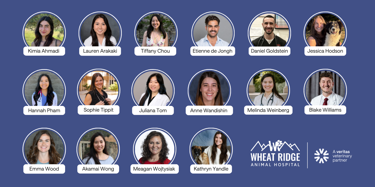 Living Our Core Value of Leadership: Our Internship Program
