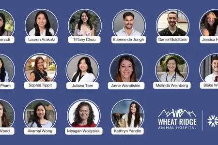 Living Our Core Value of Leadership: Our Internship Program