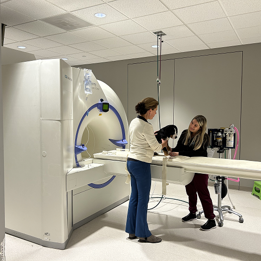 Two women assist a dog onto an MRI machine table in a veterinary clinic.