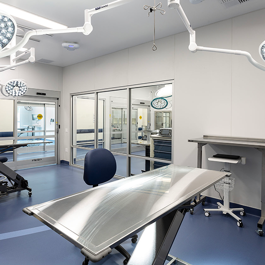 A veterinary clinic exam room.