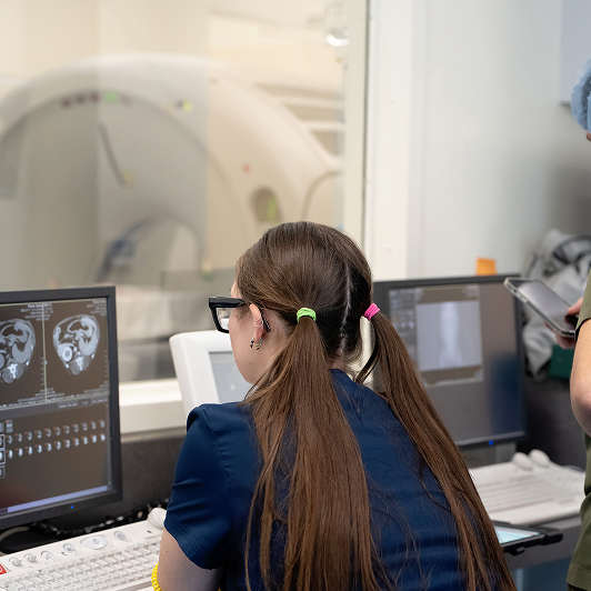 A vet in blue scrubs examines an MRI of an animal on a monitor.
