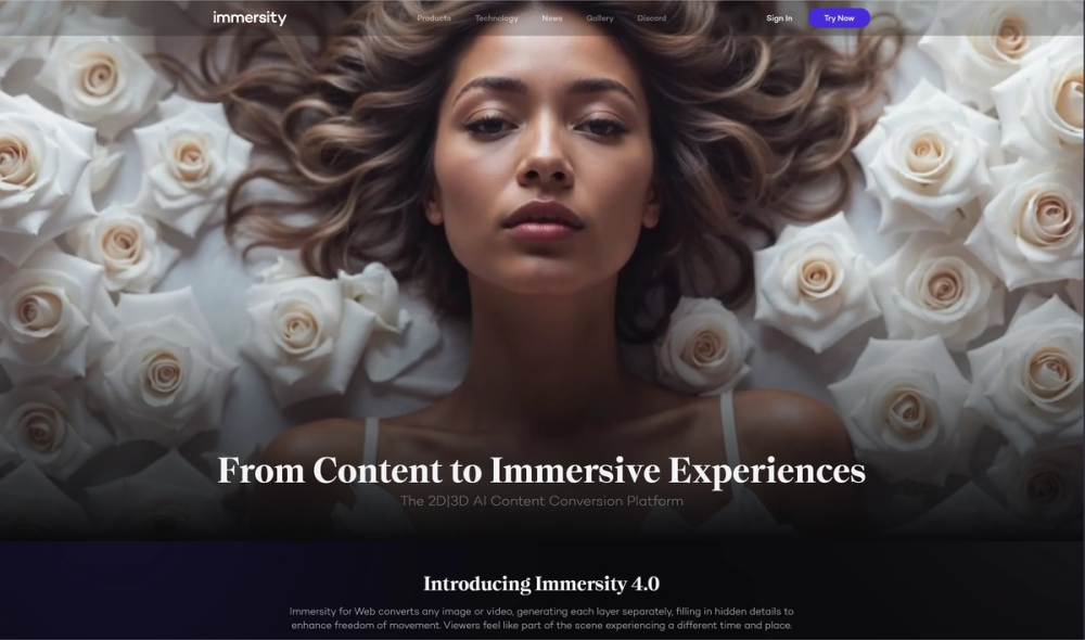 Image for Immersity